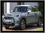 Mini Cooper S Multitone