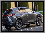 Bok, Lexus NX Plug-in Hybrid F Sport