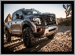 Nissan, Titan Warrior